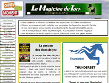 Tablet Screenshot of magicien-du-turf.biz
